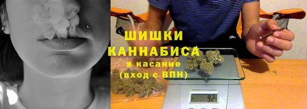 Альфа ПВП Инта
