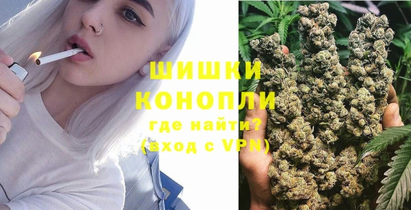 хмурый Инсар