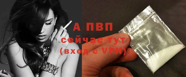 Альфа ПВП Инта