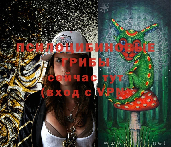 хмурый Инсар