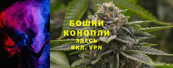 хмурый Инсар