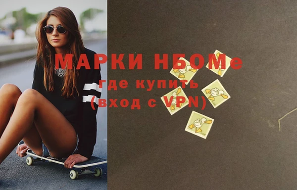 хмурый Инсар