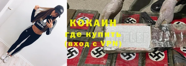 Альфа ПВП Инта