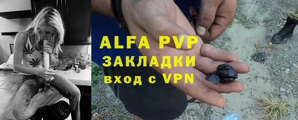 хмурый Инсар