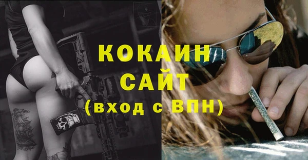 хмурый Инсар