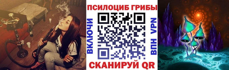 Псилоцибиновые грибы GOLDEN TEACHER  Купить закладки  Дно 